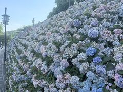 -苏州上方山国家森林公园