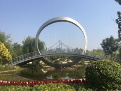 -武清南湖绿博园