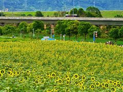 -光明小镇欢乐田园