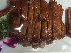 -有红鸡毛店·川菜(建设路店)