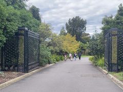 -墨尔本皇家植物园