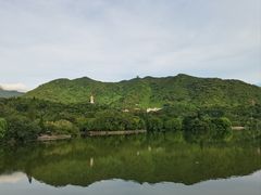 -深圳仙湖植物园