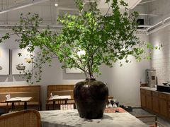 大堂-后厨·順德味道(印象城店)