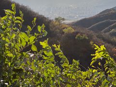 -北京西山国家森林公园