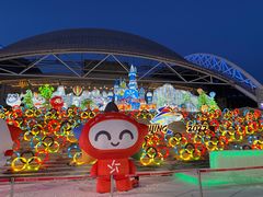-沈阳奥体冰雪嘉年华