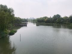 -新江湾城公园