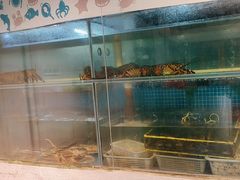 -碗中海·蒸汽海鲜·桑拿鸡(岭南天地店)