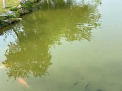 -珠海圆明新园