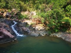 -广州白江湖森林公园