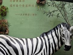 -大水的店(昙华林店)