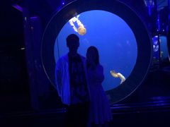 -成都浩海立方海洋公园