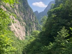 -青峰峡国家森林公园