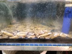 -前王院•巧克力海鲜市集餐厅(万平口店)