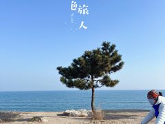 -巧克力渔家.小船海鲜家常菜(万平口店)