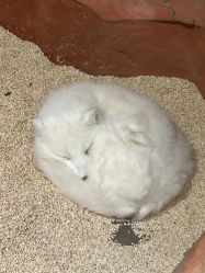 -Zoolung Zoolung动物主题公园(海信广场店)