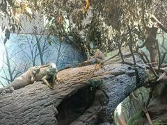 -成都动物园