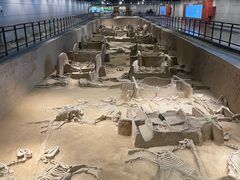 -洛阳周王城天子驾六博物馆