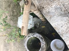-扬美古镇景区