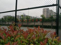 -中国银行江苏省分行培训中心