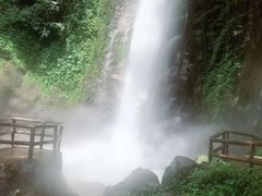 -莫里热带雨林景区