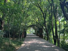 -天目湖山水园