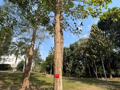 -中国科学院西双版纳热带植物园
