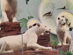 -陕西自然博物馆