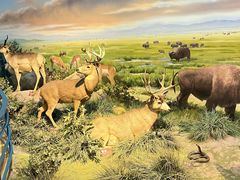 -陕西自然博物馆