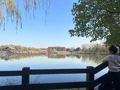 -溱湖国家湿地公园