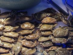 -韩风源烧烤涮自助餐厅(禹州新一峰店)