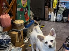 -滋味厨房小酒馆(万达广场店)