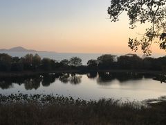 -上海市保健医疗中心