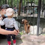 周末来体验大自然的乐趣[加油]