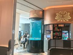 -谭厨中山传家菜.乳鸽.脆鲩鱼(华强北中航城店)