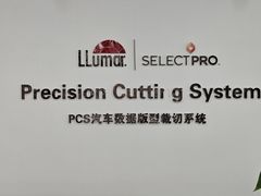 -龙膜全球臻选店·汽车贴膜·隐形车衣(北京琪朗店)