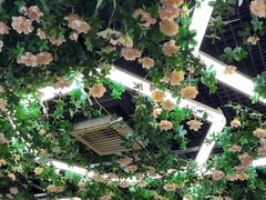-山西派(桥东街店)