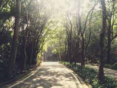 -火炉山森林公园