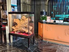 -索拉古贝(义乌北苑店)