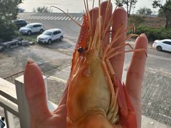 -美味之家·湖景农家乐(太湖东山店)