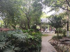 -水濂山森林公园