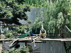 -成都动物园