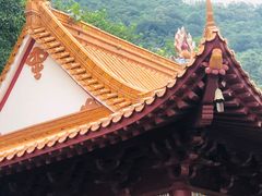 -深圳仙湖植物园