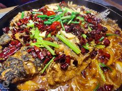 -老板恋上鱼(恒隆广场店)