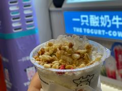 -一只酸奶牛(春熙路店)