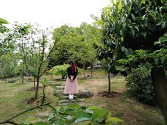 -南山植物园
