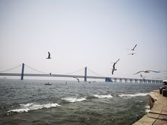 -星海广场