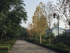 -大渡口区义渡公园