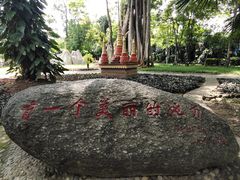 -瑞丽独树成林风景区