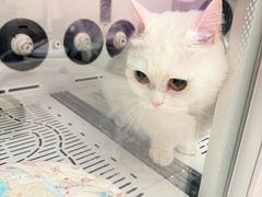 -FAELING PETS美天灵宠物(富力广场店)