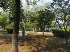 -艾溪湖湿地公园